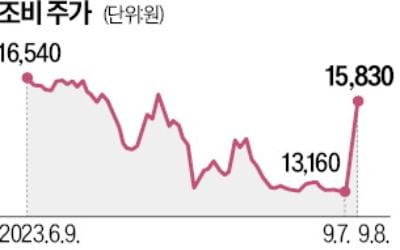 中 요소 수출 금지說에…조비·KG케미칼 급등