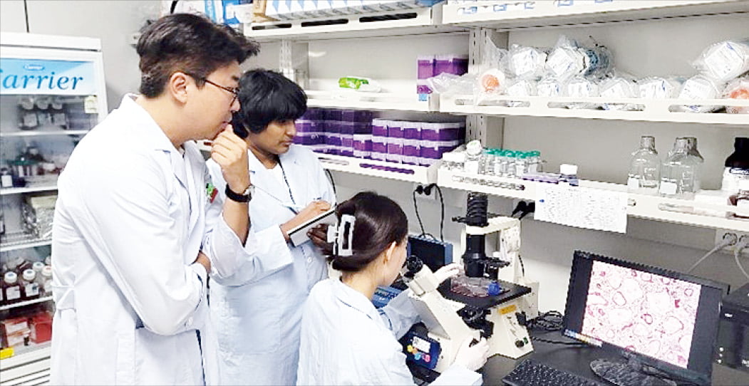 한국생명공학연구원 기능성바이오소재연구센터 연구진이 세포배양 결과를 두고 논의하고 있다.  생명연 제공  