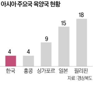 경북 포항, 글로벌 데이터센터 허브 '첫발'