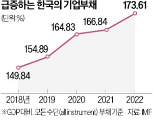 빚 빠르게 늘어나는 한국…민간부채 증가율 '세계 1위'