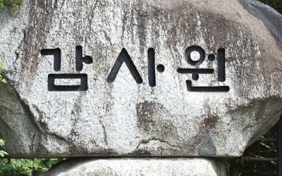 감사원 "가중값 넣었다 뺐다는 명백한 조작"