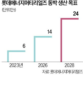 [단독] 롯데머티리얼즈, 美에 동박 공장…최소 7000억 투자