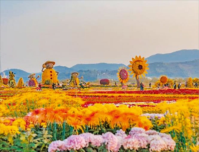 마산국화축제 모습. /경상남도 제공 