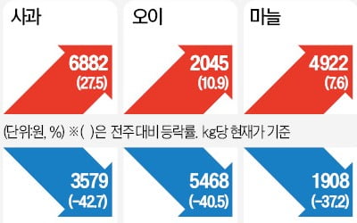 한풀 꺾인 더위…상추·깻잎 가격 안정세