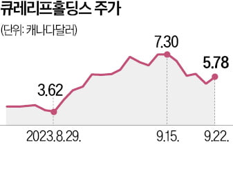 대마초 규제 풀리나…큐레리프 한 달새 51%↑