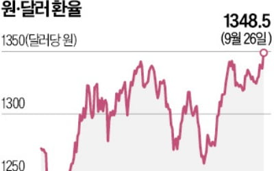 '긴축 발작'…원·달러 환율 1348원 연중 최고