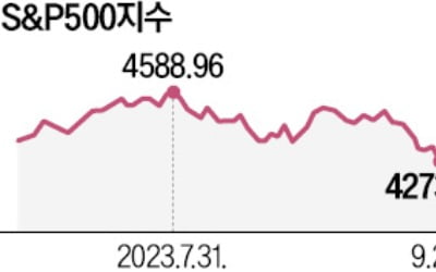 "S&P500지수 1년내 사상 첫 5000 가능성"