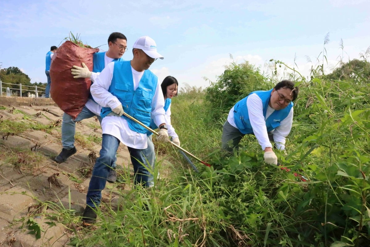 두산밥캣 임직원들이 경기도 성남시에서 탄천 주변의 유해식물 ‘환삼덩굴’ 제거 작업을 하고 있다. 사진=두산밥캣 제공