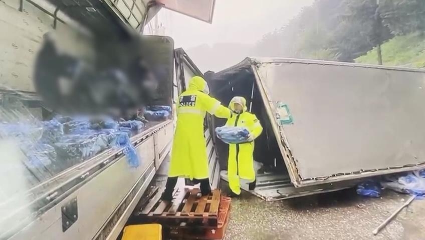 전복 트럭서 냉동 복어 와르르…"녹으면 큰일" 운송 도운 경찰