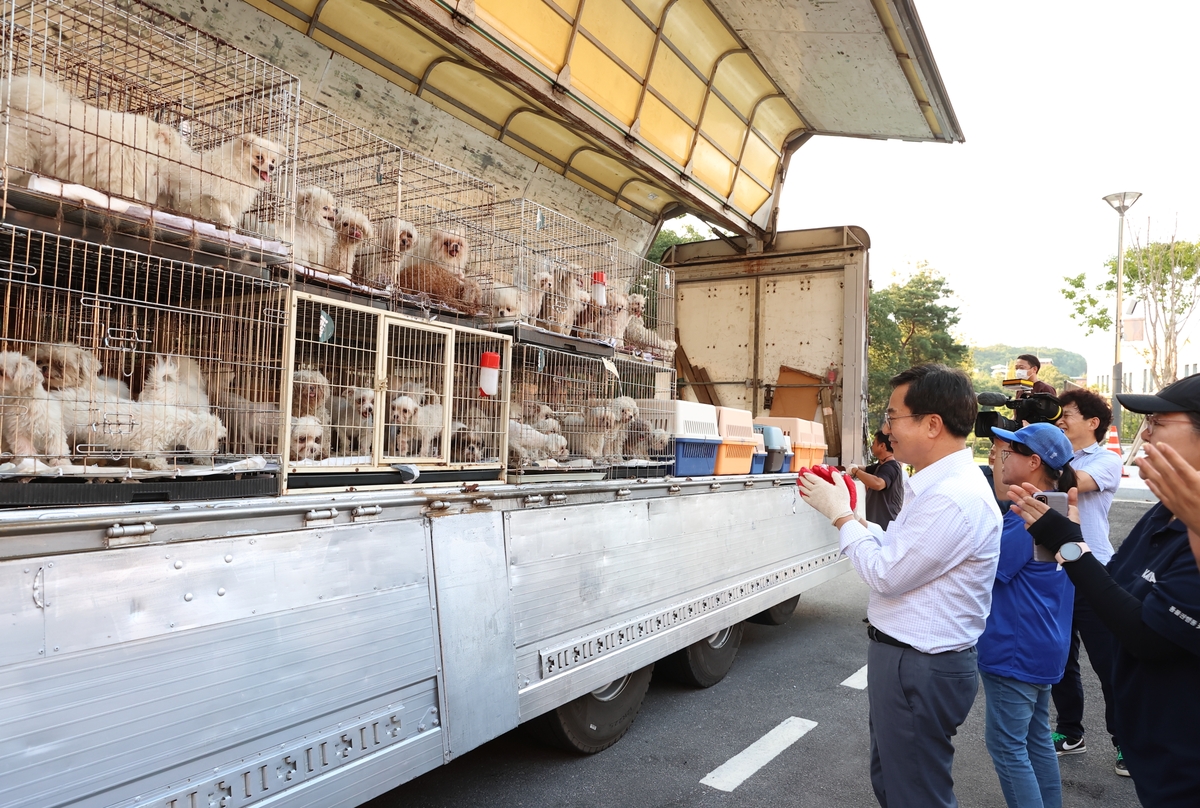 곳곳에 사체…경기도, 화성 개 사육장서 1천400마리 구조