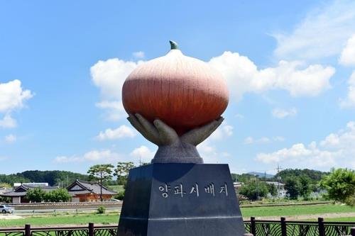 '양파 시배지' 창녕군서 9일 제6회 양파가요제 개최