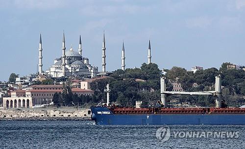 흑해곡물협정 재개될 수 있을까…'푸틴의 입' 주목