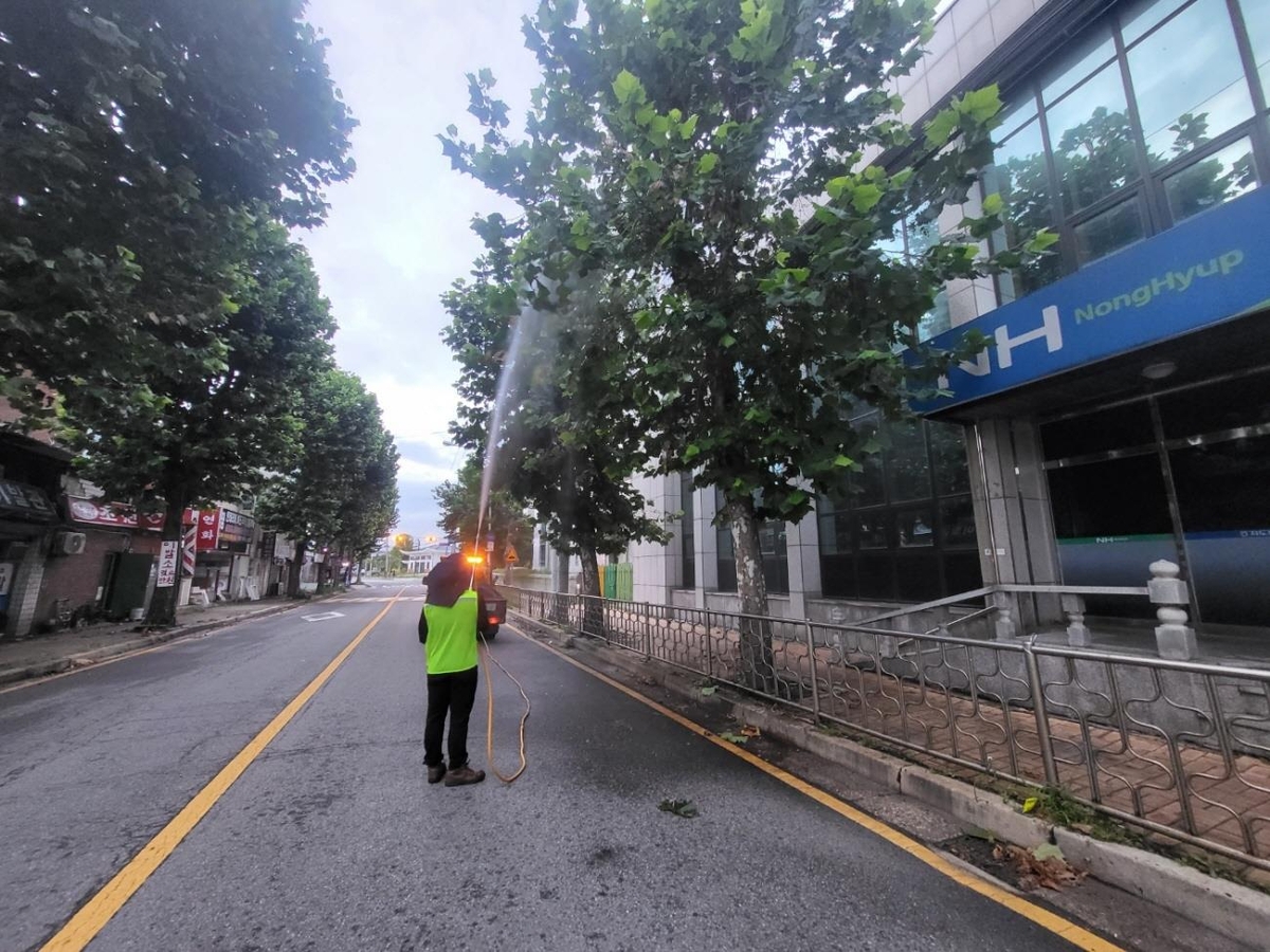 고양시 가로수 '미국흰불나방' 비상…덕양구 긴급 방제