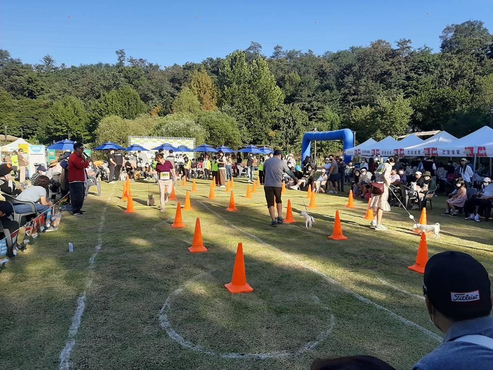 강동구, 23일 '동물사랑 축제'…반려동물 숲길걷기·운동회