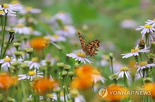 전북 구름 많고 낮 최고 30도…미세먼지 '보통'