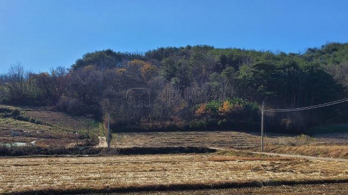 인천 전세사기 '건축왕' 소유 동해 땅, 경매서 380억원에 낙찰