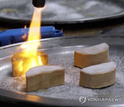 스위스 의회 "푸아그라 수입, 신고요건 갖출 땐 허용"