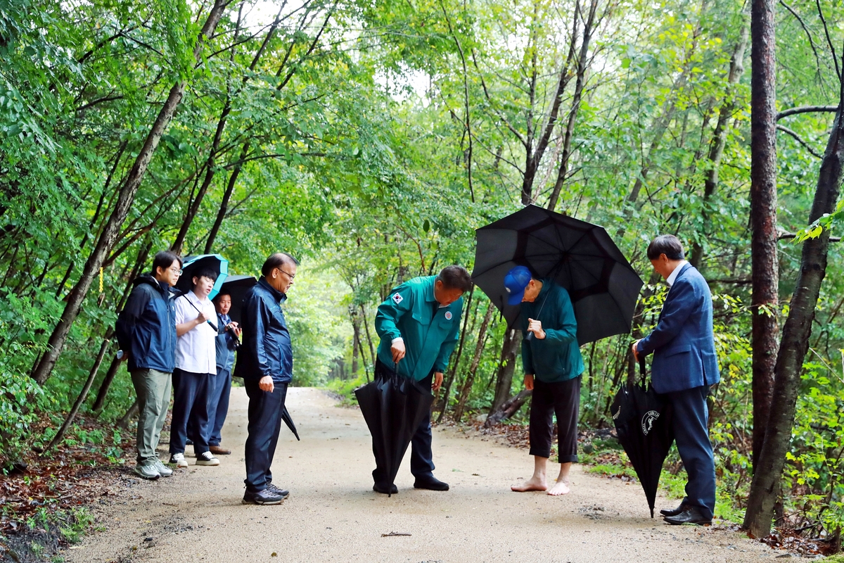 태백시, 탄탄대로에 맨발걷기 숲길 1.5㎞ 조성