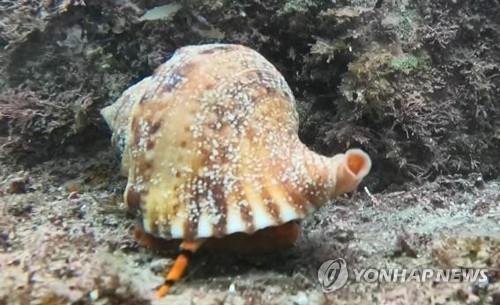 가덕도신공항 건설사업 '파란불'…전략환경영향평가 통과