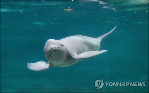 가덕도신공항 건설사업 '파란불'…전략환경영향평가 통과