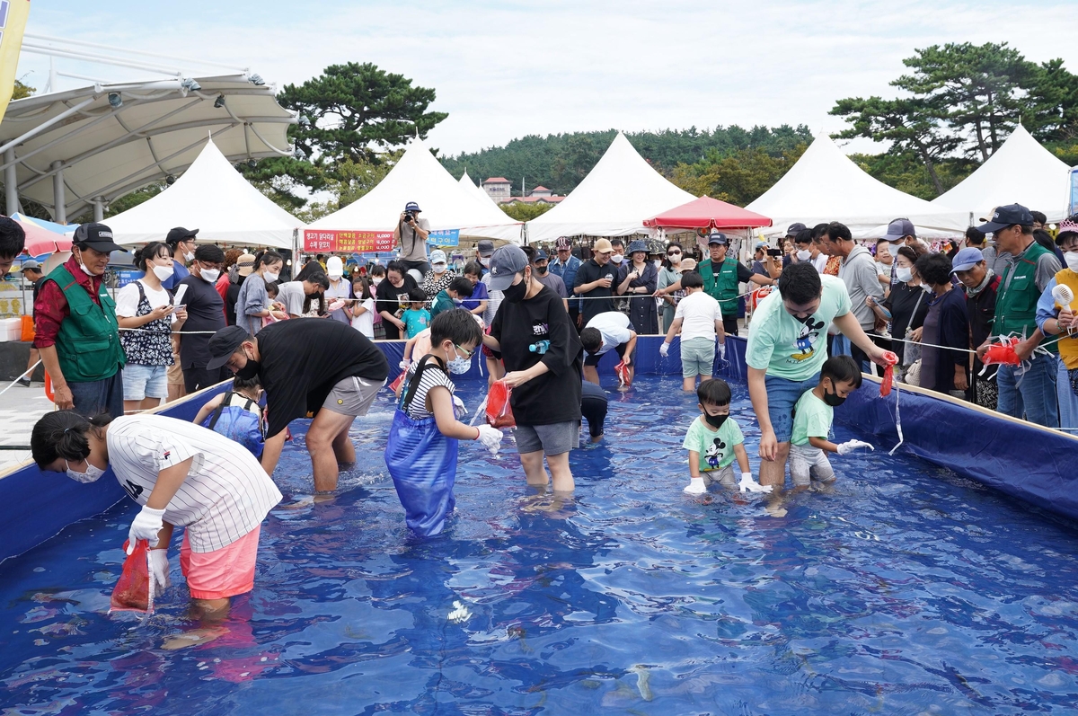 보령 무창포서 23일∼내달 9일 '가을 대하·전어 축제'