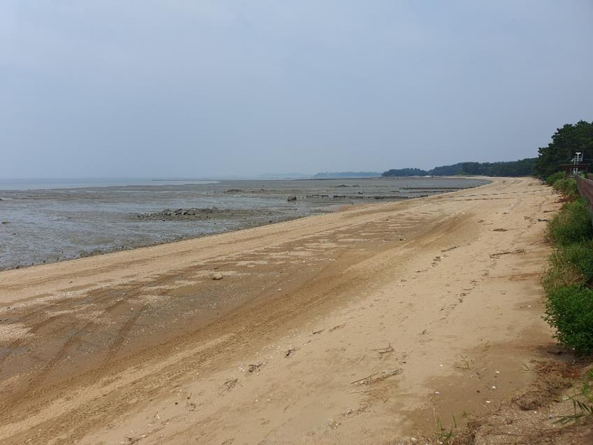 화성 궁평 해안 백사장 복원사업 본격화…설계 후 2026년 시작