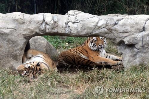 전주동물원 추석 연휴에 정상 운영…주차장도 무료 개방