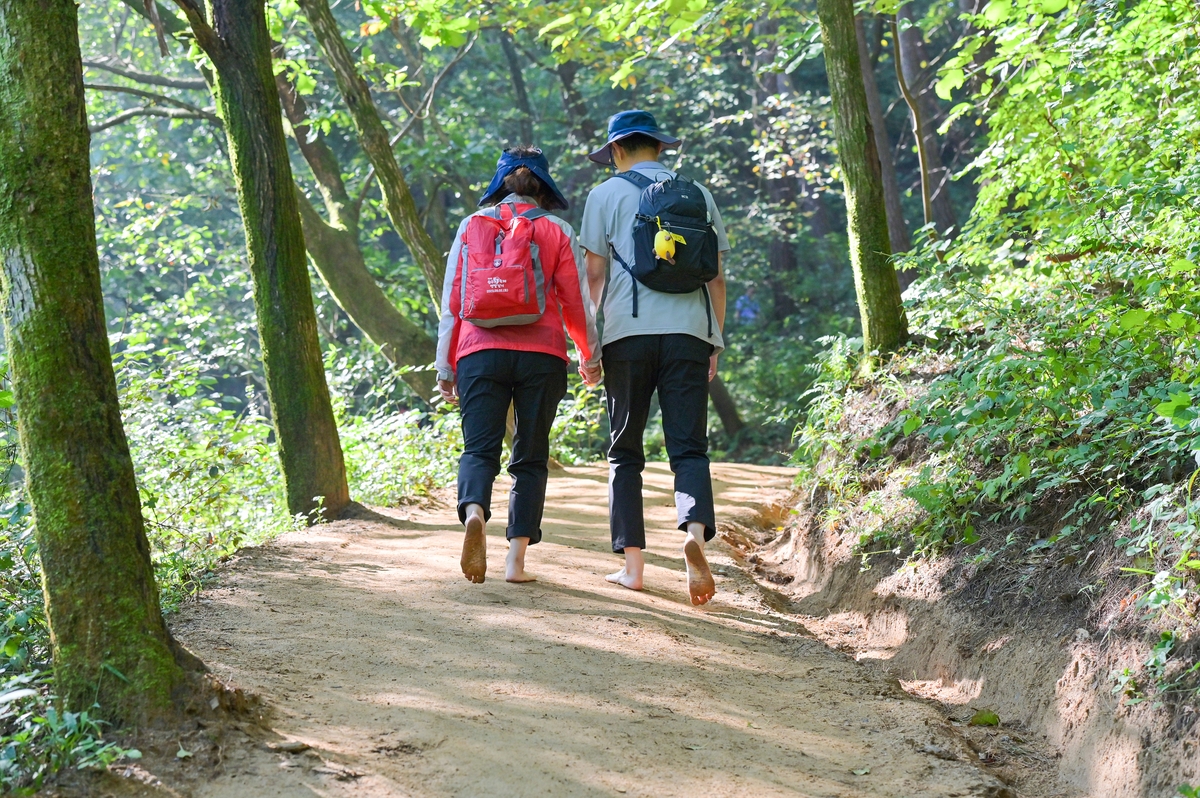 '피톤치드 뿜뿜' 트레킹 도시 원주, 추석 연휴 힐링 코스 추천