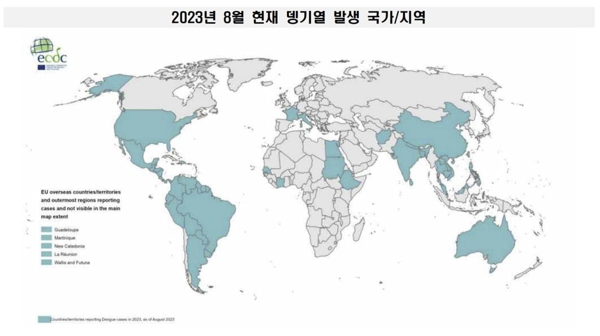 방글라데시 방문 한국인 뎅기열로 사망