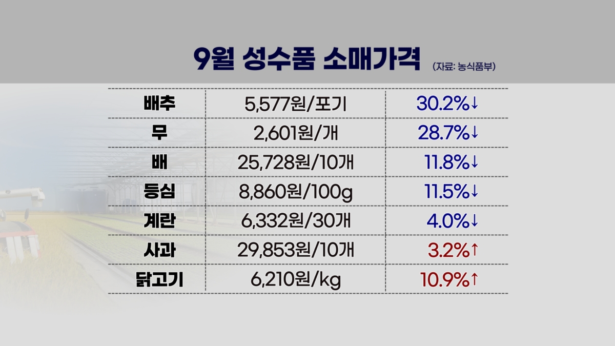 "2027년 농식품수출 230억 달러".. 'K-푸드 영업사원' 정황근 농식품부 장관 [플러스초대석]