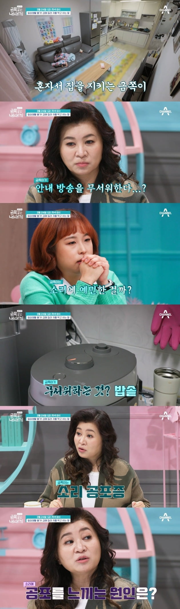 Oh Eun-young, who covers her ears, says, “It’s not just hearing sensitivity.”