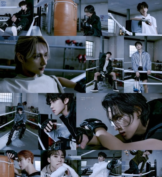 Seventeen, third version of new album 'FML' is 'Fight for My Life'