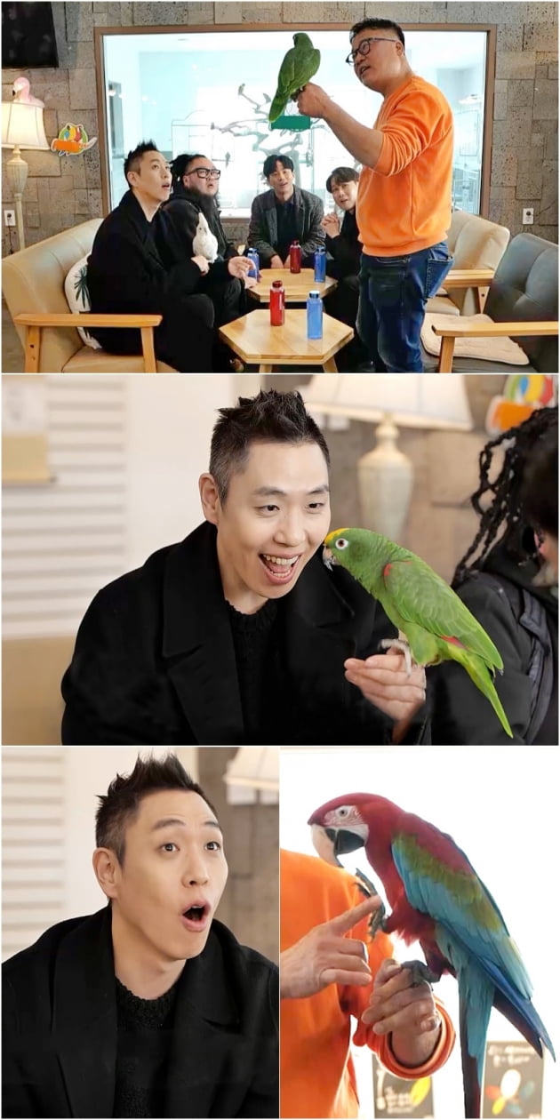 Lee Eun-gyeol meets the parrot, an ‘appearance judge’ who shot a commercial with BTS