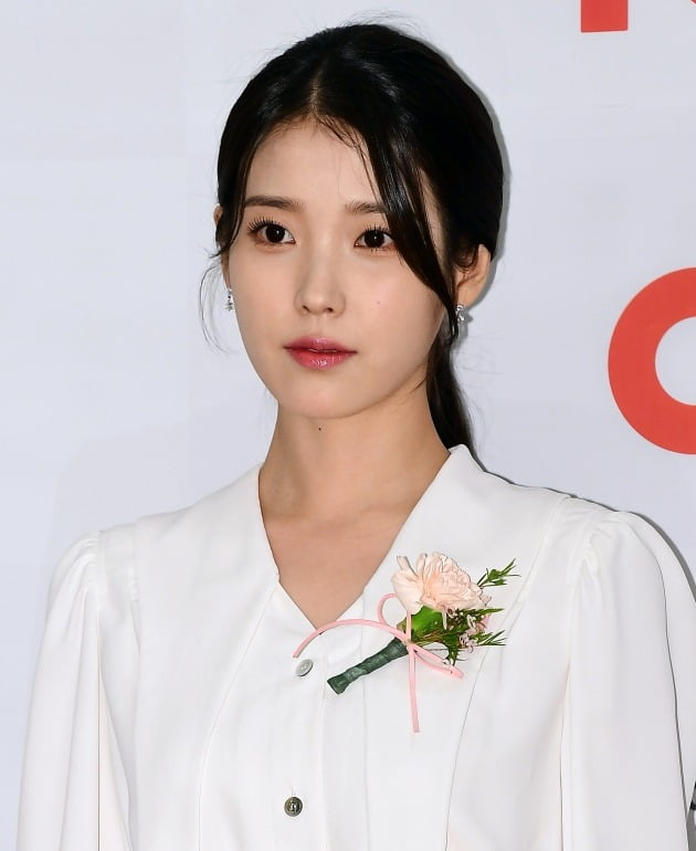 'IU Plagiarism Suspicion', Responsible Person Appointed