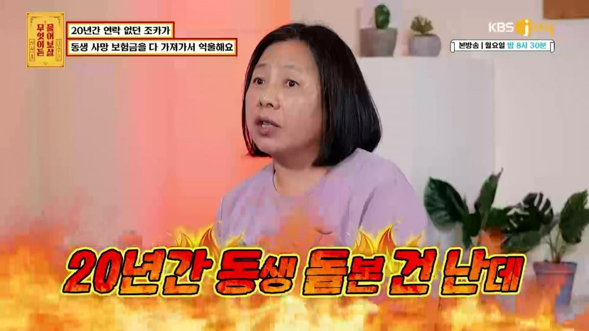 ./사진=KBS Joy ‘무엇이든 물어보살’