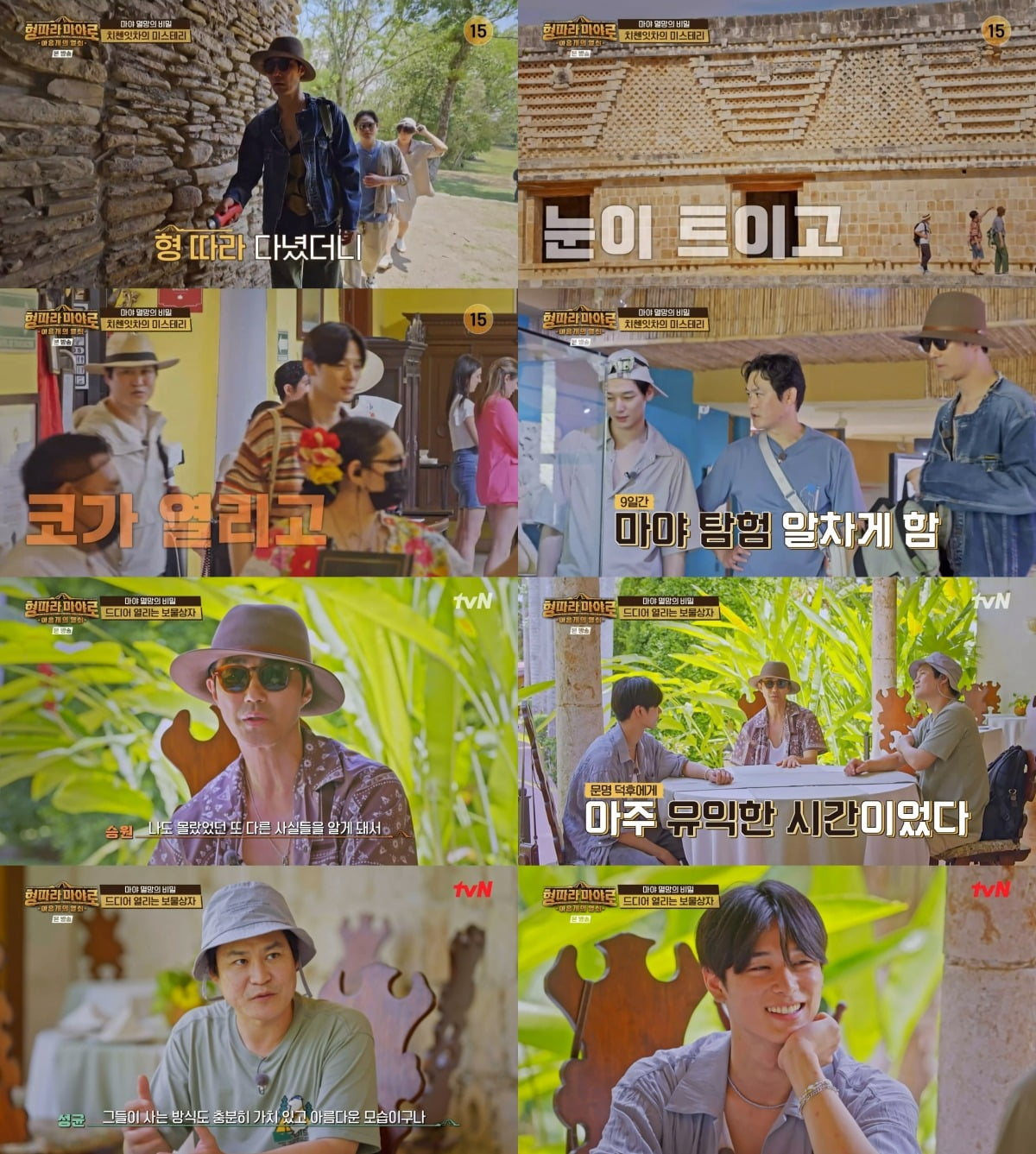 '형따라 마야로' /사진제공=tvN