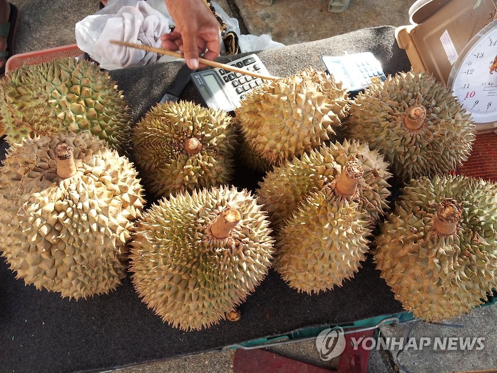 중국인 입맛 사로잡은 덕에…두리안 세계 판매 400% 급증