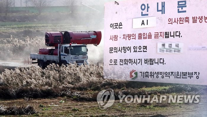 "추석연휴 조류인플루엔자 번질라"…긴장한 지자체들, 방역 강화