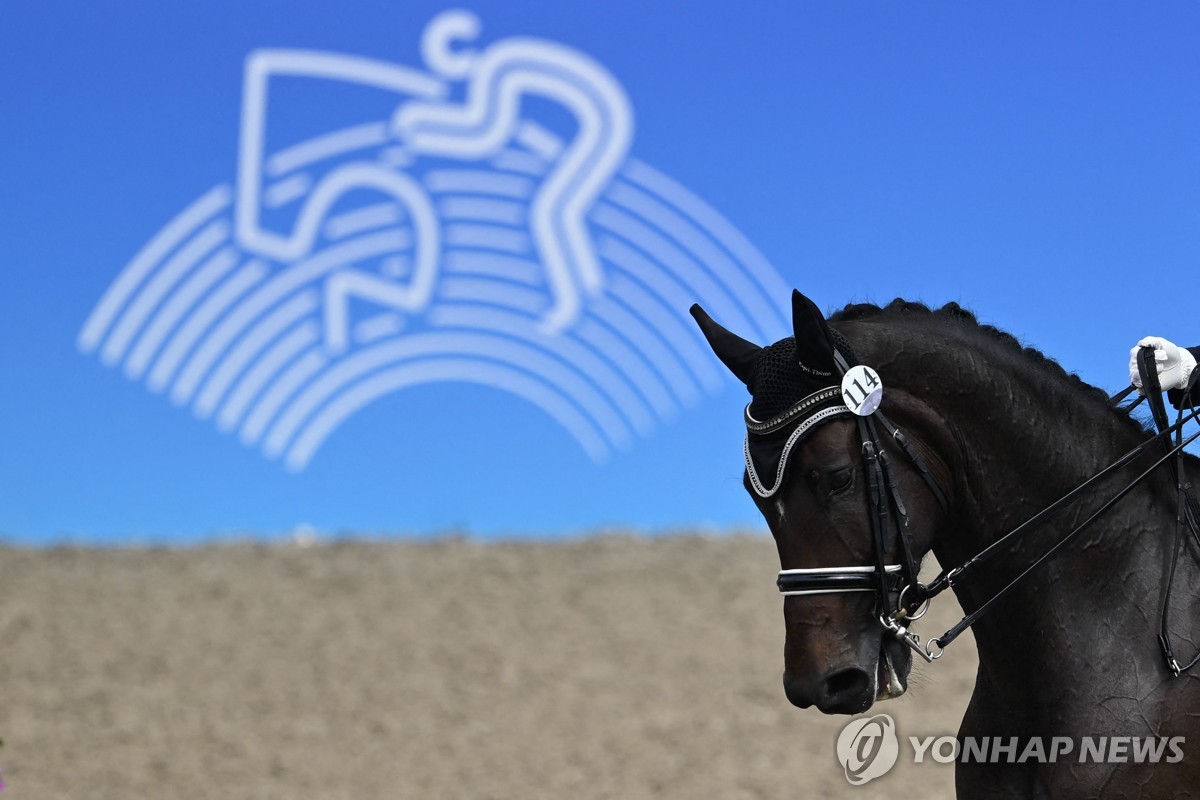 [아시안게임] 불운에 불운 겹쳐…한국 온라인 카지노 합법 사이트 마장마술에 무슨 일이