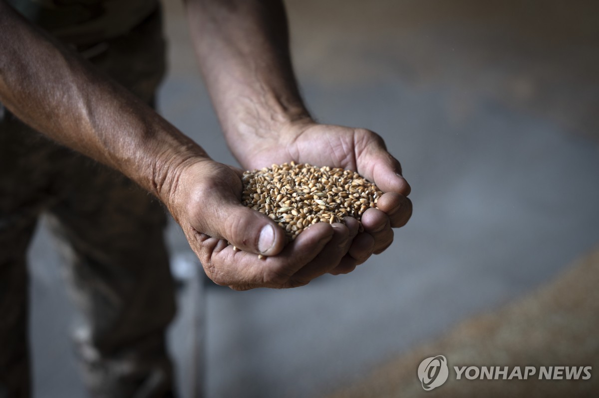 푸틴, 제재 해제 받고 곡물협정 복귀할까…가스허브 설치도 논의