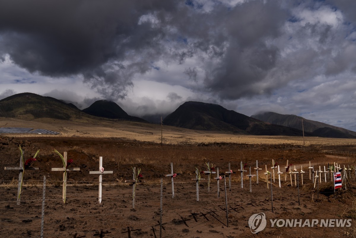 [하와이 산불 한달] 115명 목숨 앗아간 100년만 美 최악참사…실종자 아직 66명