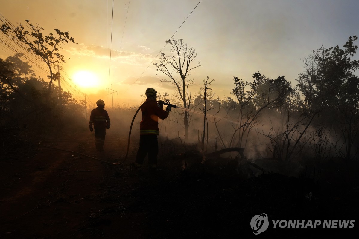 "악마도 부채 부칠 판"…절절 끓는 남반구 '40도 봄날'