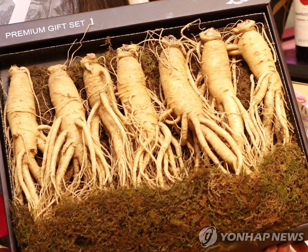 "홍삼 뿌리 오일, 전립선 비대증에 효과…성기능 개선 확인"