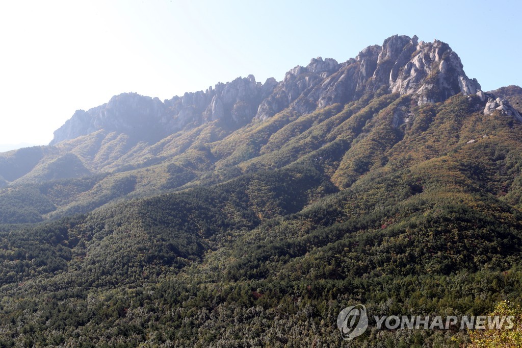 '가을이다!' 전국 행사장 '북적'…해수욕장엔 막바지 피서객