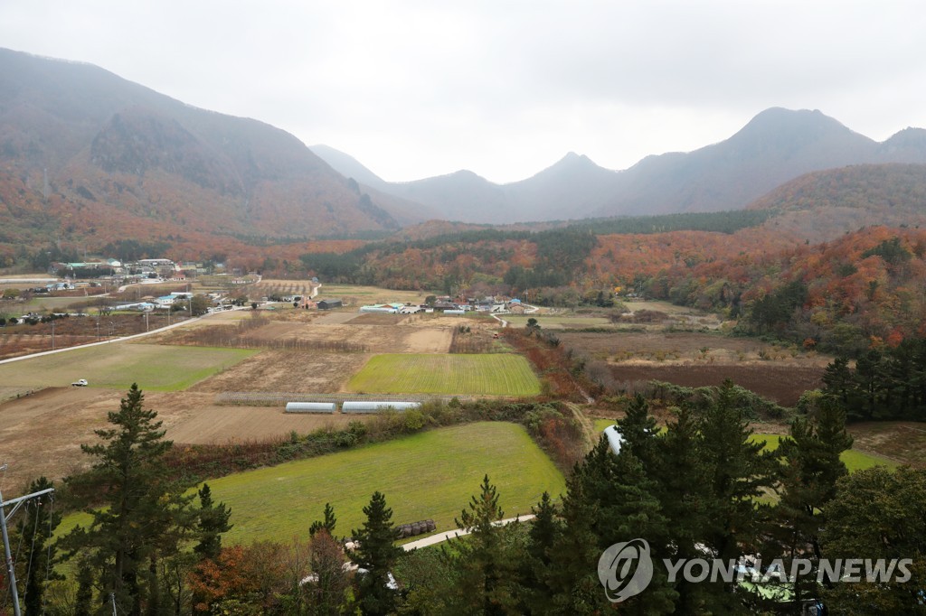 은하수 보고 공연도 즐기고…울릉군 야간 관광 프로그램 운영