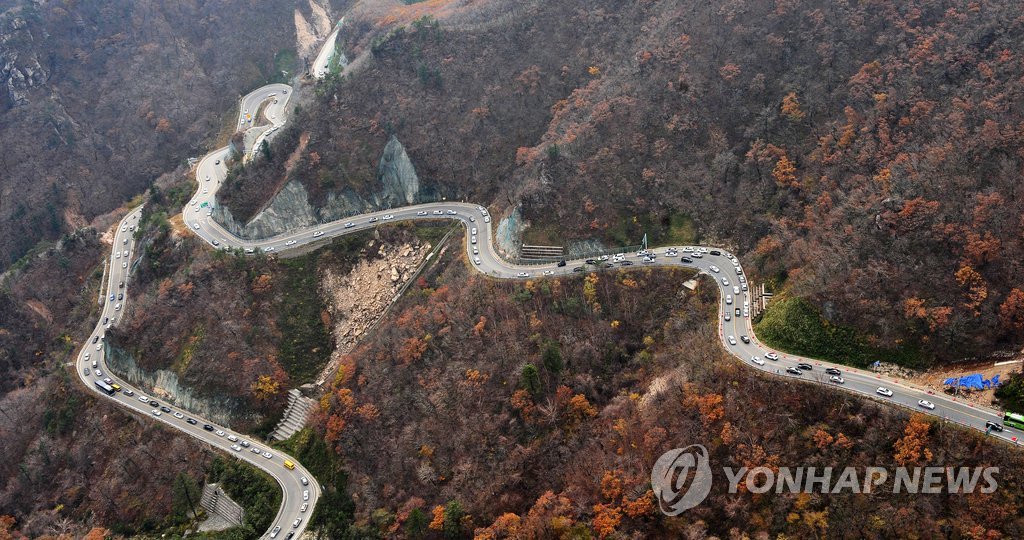 [굽이굽이 별천지] ⑪ 20년 빈터에서 꽃길로, 정원도시 꿈꾸는 인제 용대리