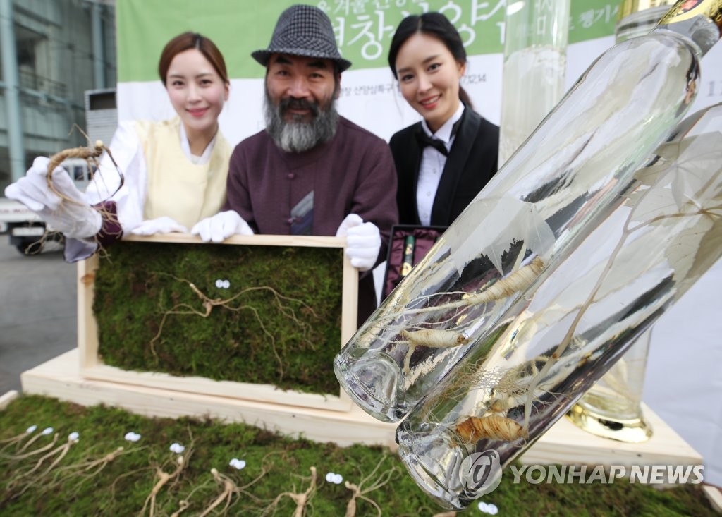 2023평창산양삼 축제 7∼17일 개최…산양삼특구 활성화