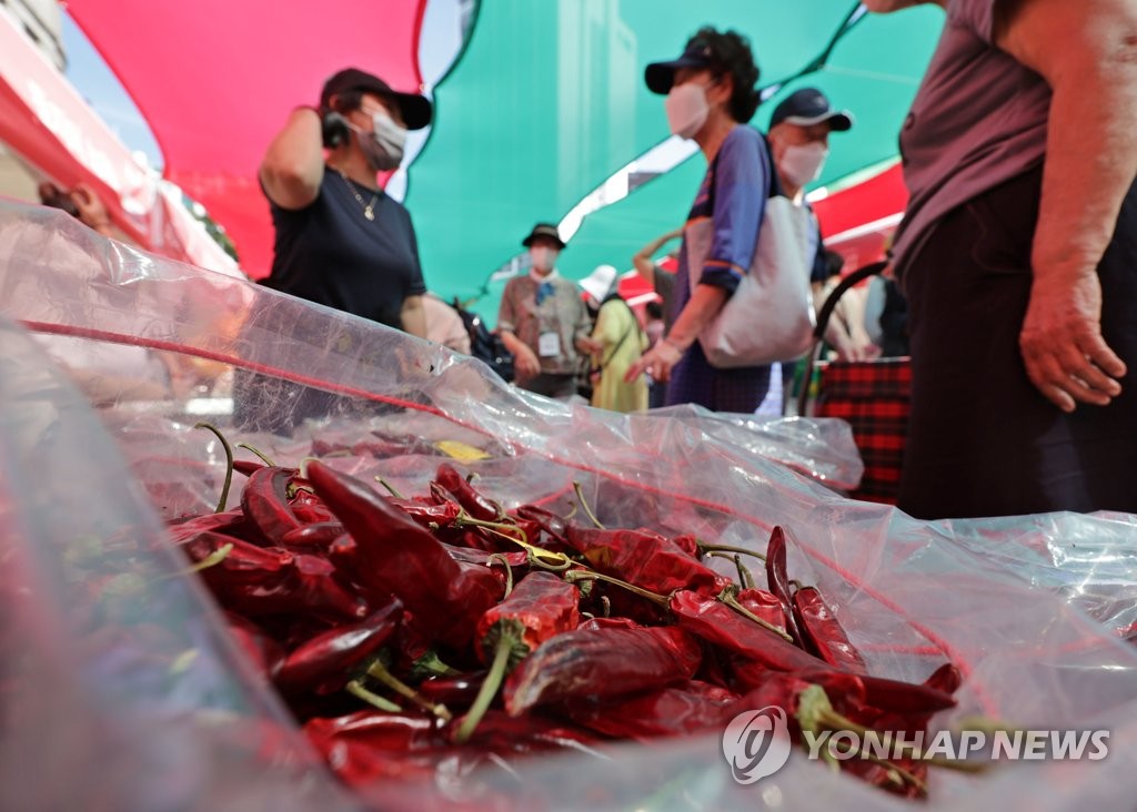 "매운맛 보러오세요"…서울광장서 영양 고추페스티벌