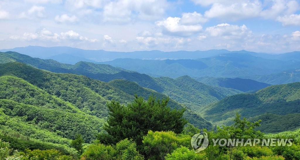 '금강산과 백두대간을 한눈에'…인제 DMZ 평화의 길 재개방