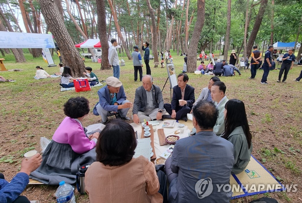 차 한 잔이 그리워지는 가을…강릉 차문화 축제 개최